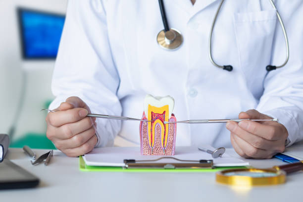 Best Emergency Dentist for Lost Fillings or Crowns in Conyngham, PA